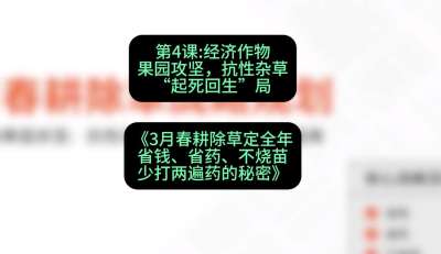 第4节：经济作物果园攻坚，抗性杂草&ldquo;起死回生&rdquo;局，课程：《3月春耕除草定全年：省钱、省药、不烧苗、少打两遍药的秘密》